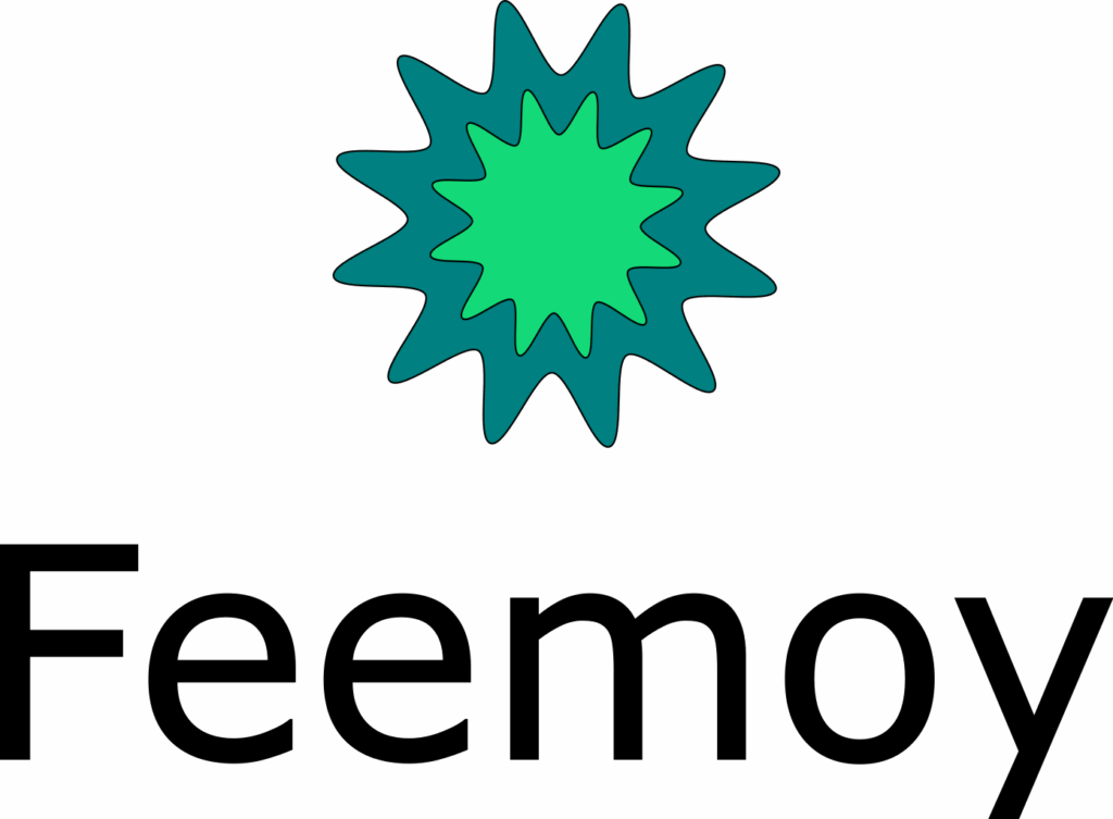 Feemoy AI Solutions
